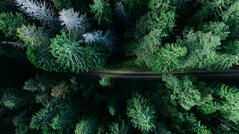 EKF unveils its 2022 ESG report: a step forward in sustainable excellence